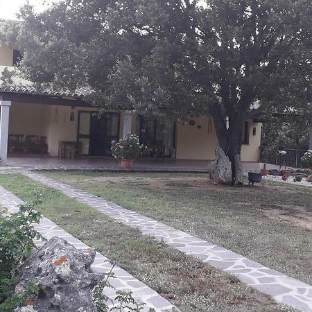 Agriturismo La Tuva Villa Padru Екстериор снимка