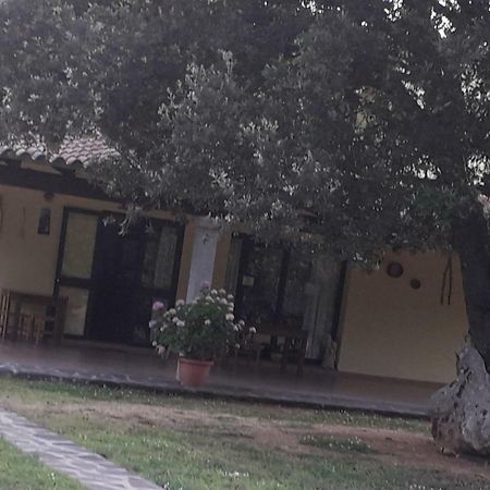 Agriturismo La Tuva Villa Padru Екстериор снимка