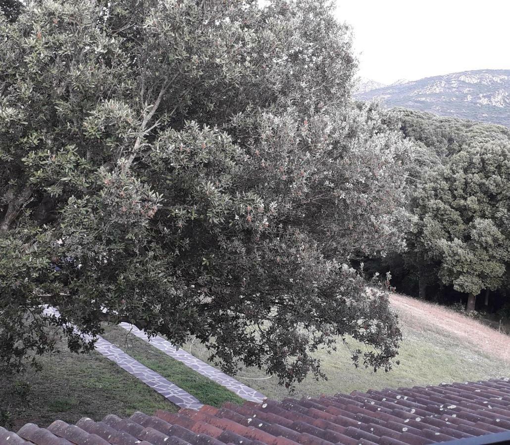 Agriturismo La Tuva Villa Padru Екстериор снимка