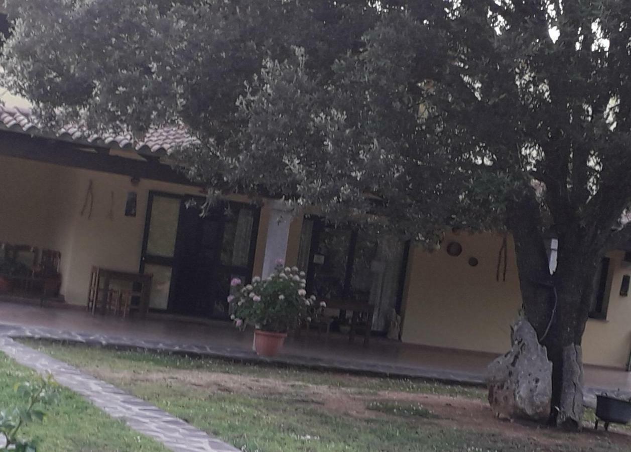 Agriturismo La Tuva Villa Padru Екстериор снимка